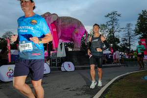 BIB: 
                            <button type="button" onclick="openModal(26529548)" class="btn btn-primary btn-sm float-right btn-popup" data-toggle="modal" data-target=".modal-high-quality">
                        <i class="fas fa-shopping-cart"></i> Add to Cart
                    </button>
                                            <button type="button" onclick="isThisMe(26529548, true)" class="btn btn-success btn-sm float-right btn-popup btn-isme hidden" data-toggle="tooltip" data-placement="bottom" title="นี่คือรูปของคุณใช่ไหม คลิกที่นี่เพื่อเอาเข้าอัลบั้ม">
                        <i class="fas fa-plus"></i> Add to album
                    </button>
                    <button type="button" onclick="isThisMe(26529548, false)" class="btn btn-warning btn-sm float-right btn-popup btn-isnotme hidden">
                        <i class="fas fa-ban"></i> Remove from album
                    </button>